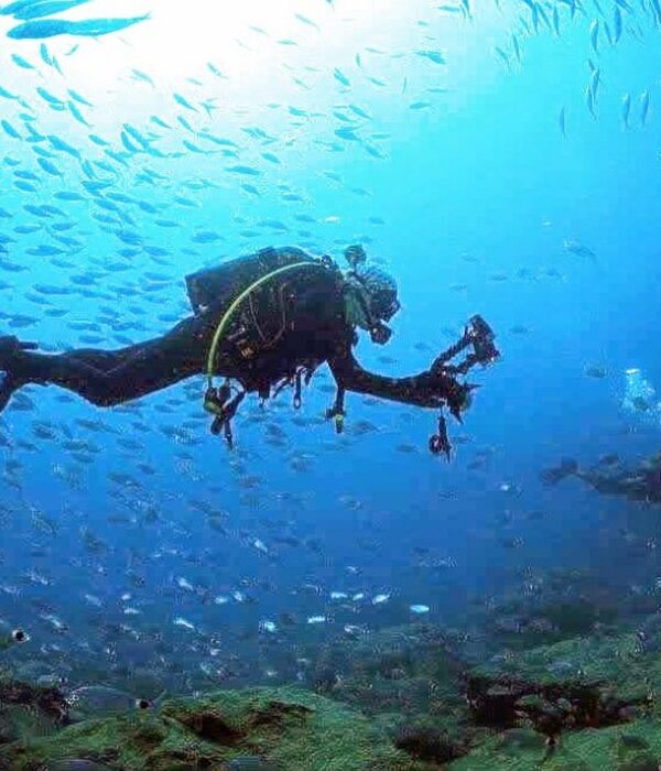 fethiye scuba diving